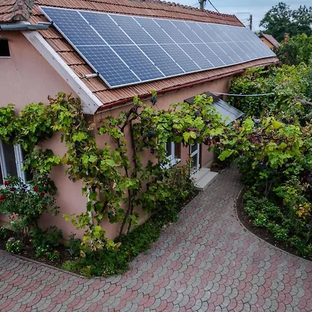 Provence Apartment Arad Exterior photo