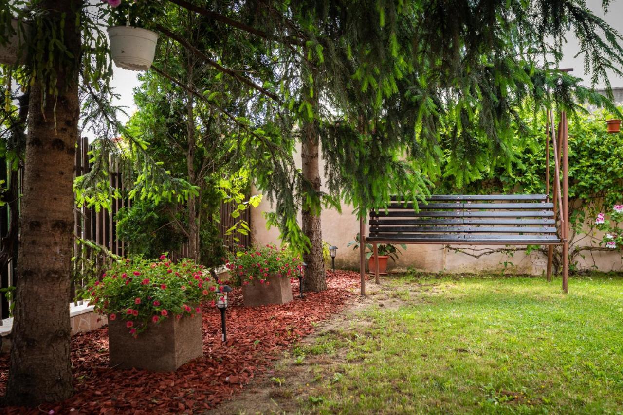 Provence * Arad
