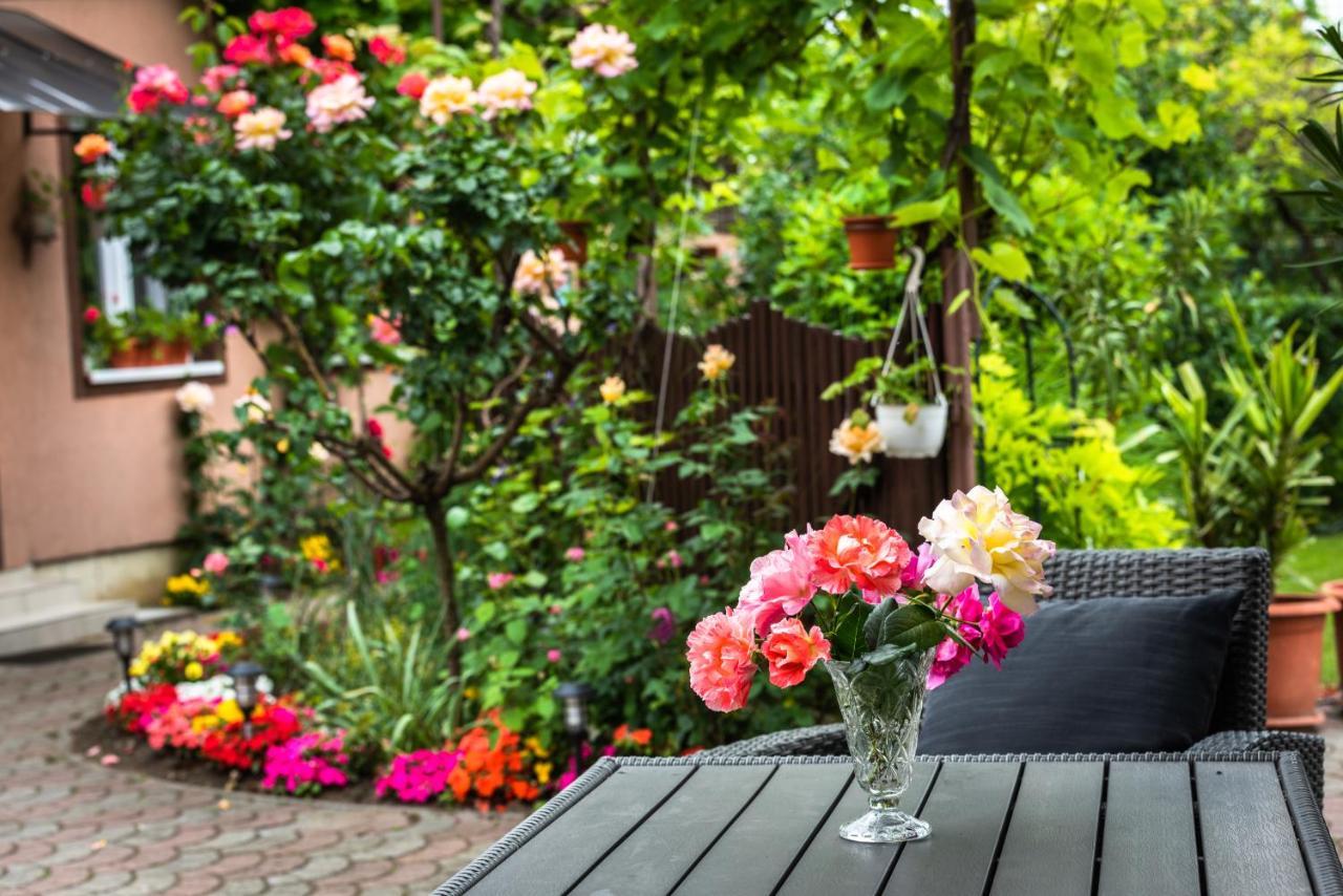 Provence Apartment Arad